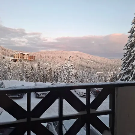 Daire а101 снежанка Pamporovo